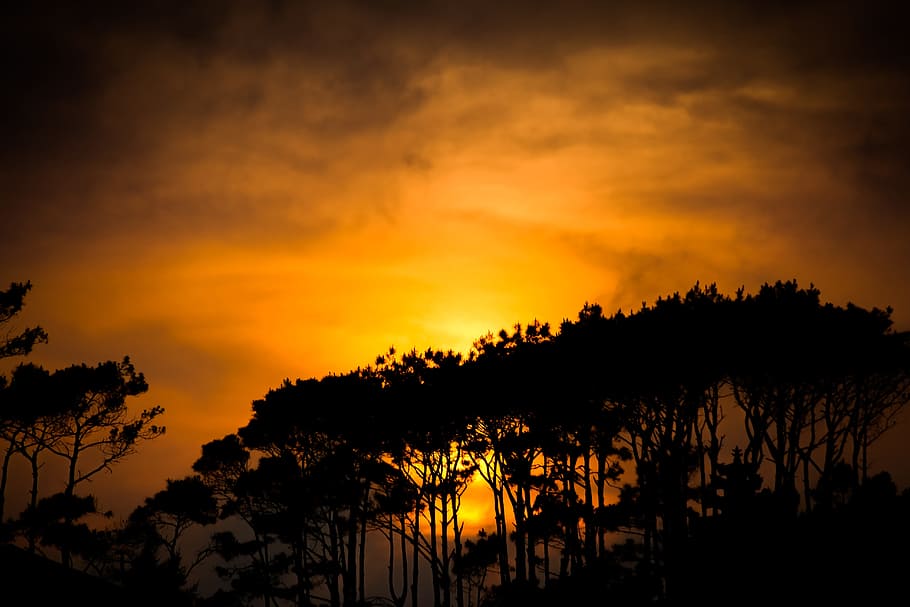 Sunset, Yellow, Summer, Sun, Orange, landscape, sunny sky, clouds HD wallpaper