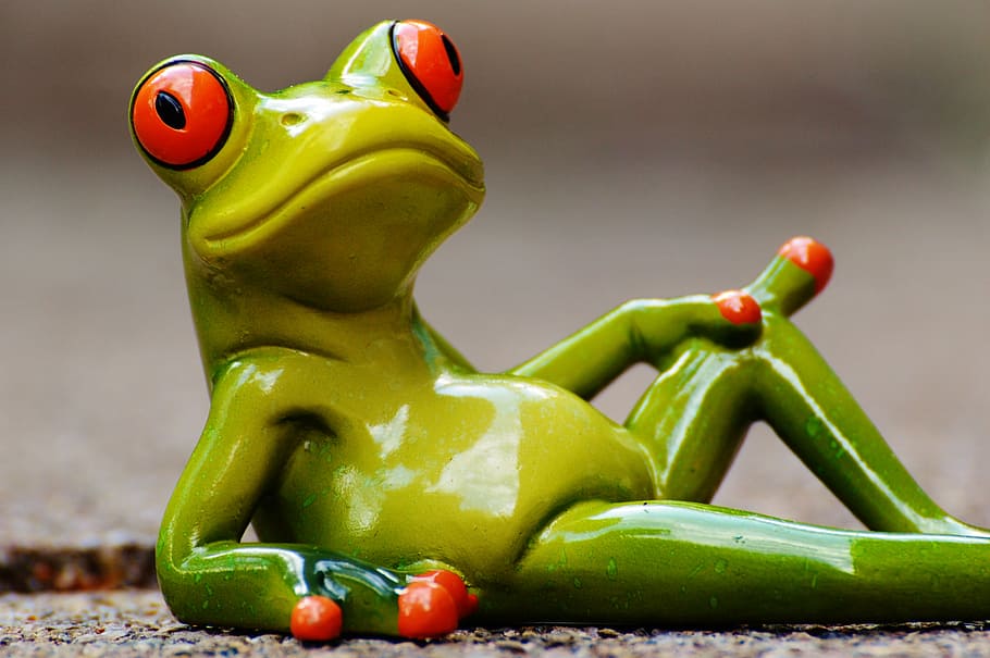 frog, lying, relaxed, cute, rest, figure, funny, relaxation, HD wallpaper