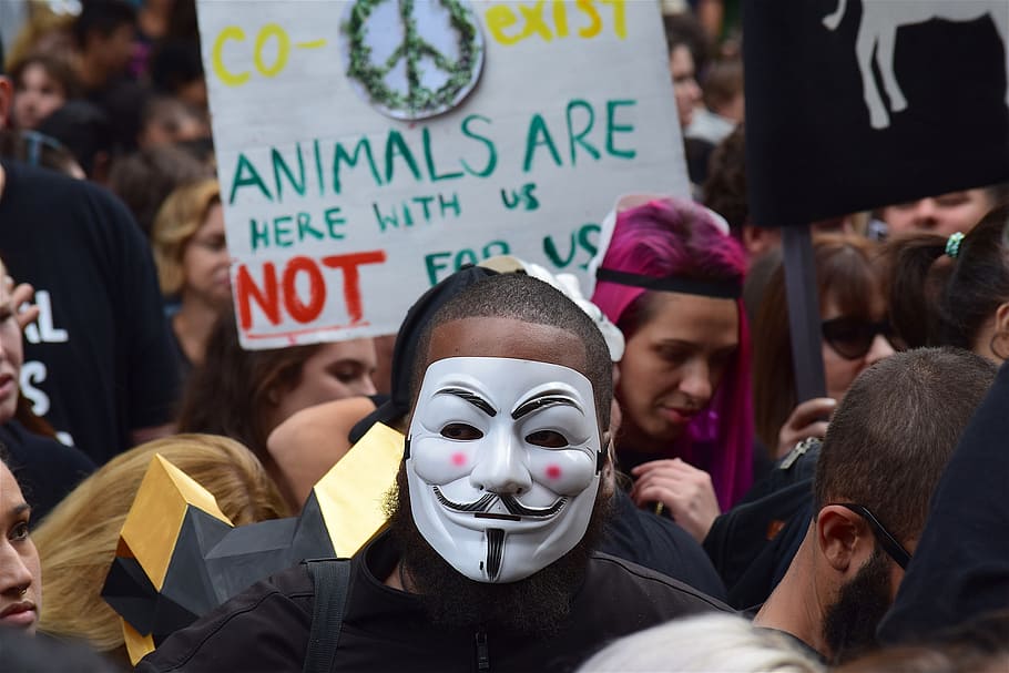 rally, march, sign, protester, mask, animal rights, demonstration