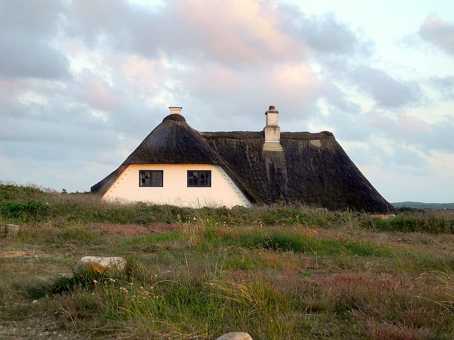 thatched roof, home, reed, holiday, denmark, coast, west jutland, HD wallpaper