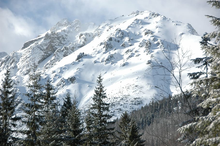 tatry, gerlach, winter, snow, mountain, nature, landscape, outdoors HD wallpaper