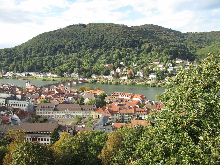 heidelberg, germany, city, old town, bridge, neckar, river