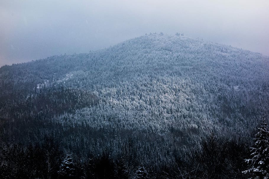 landscape photography of mountain, peak, summit, tree, woodland HD wallpaper
