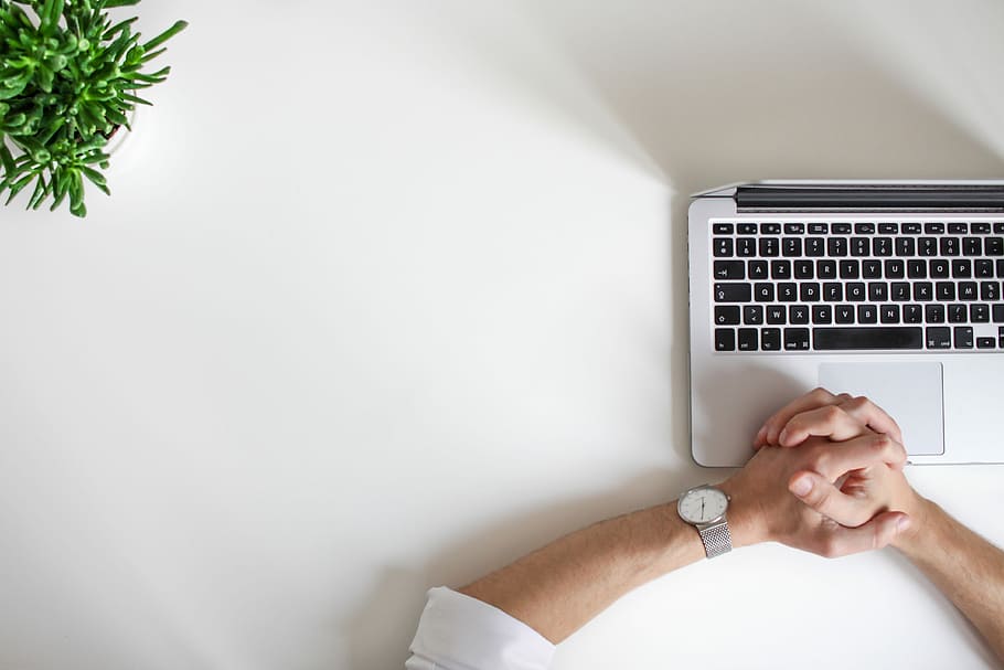 person wearing watch near laptop, MacBook on table, plant, succulent HD wallpaper