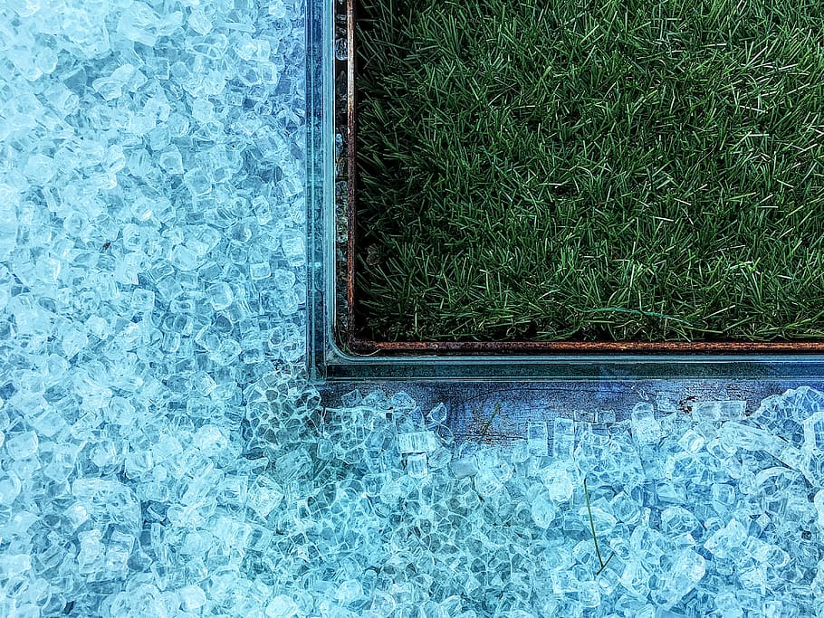 photo of green grasses near tiles, swimming pool beside green grass lawn HD wallpaper
