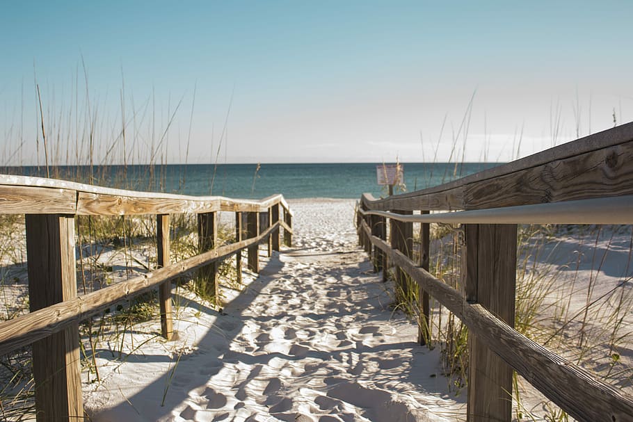in distant blue ocean under blue sky, fence, beach, grass, dune HD wallpaper