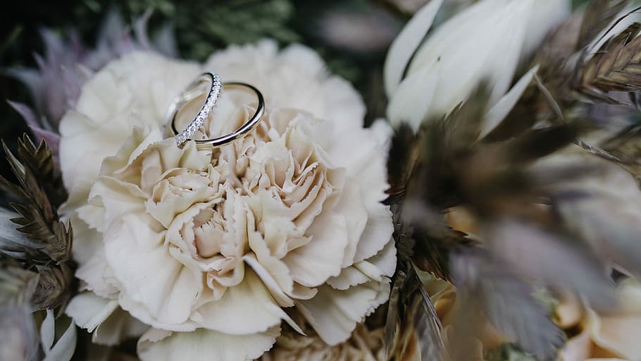 two silver-colored rings, two silver-colored rings on white petaled flower HD wallpaper