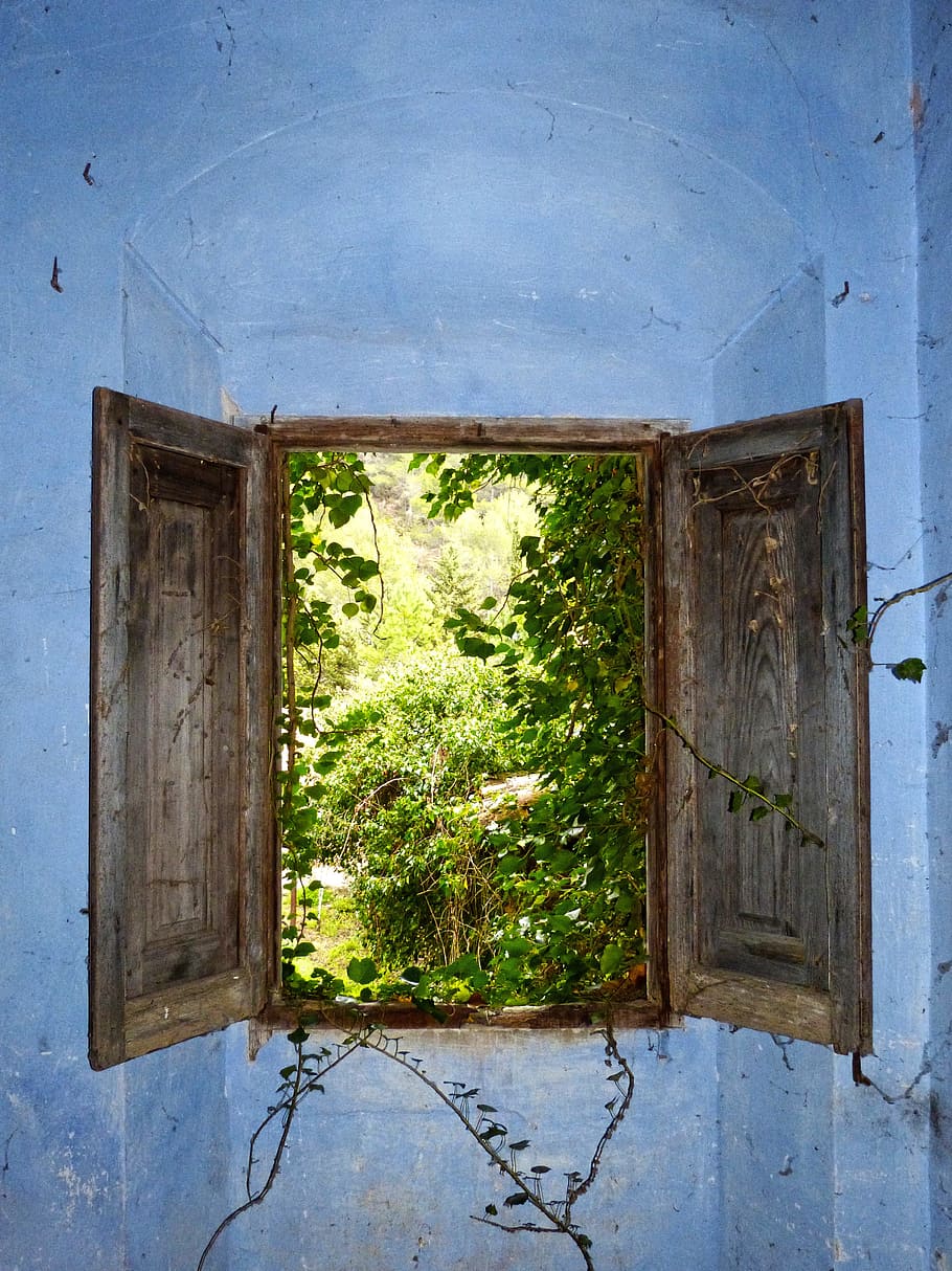 closeup photo of opened window, Window, Sill, Abandoned, Ruin HD wallpaper