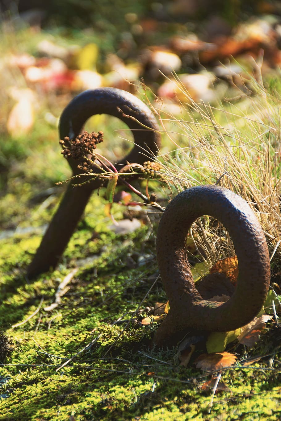Iron, Loop, Highlights, iron loop, a loop, nature, decline HD wallpaper