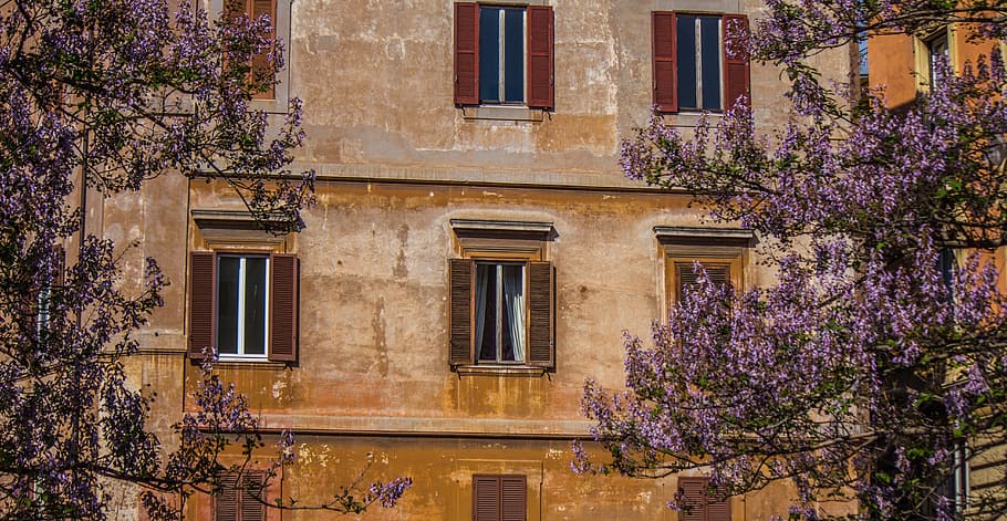 Rome, Italy, Source, Architecture, ancient rome, europe, tourism HD wallpaper
