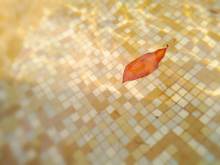 Water, Leaf, Mosaic, Light, Shiny, orange, tiles, color, colorful HD wallpaper