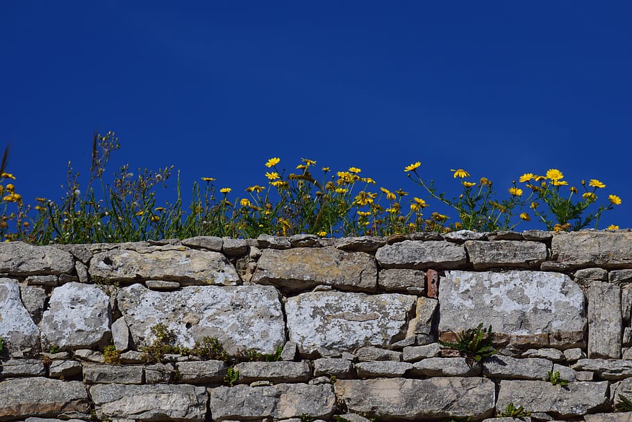 wall, sky, stone, texture, bricked, background, stone wall HD wallpaper