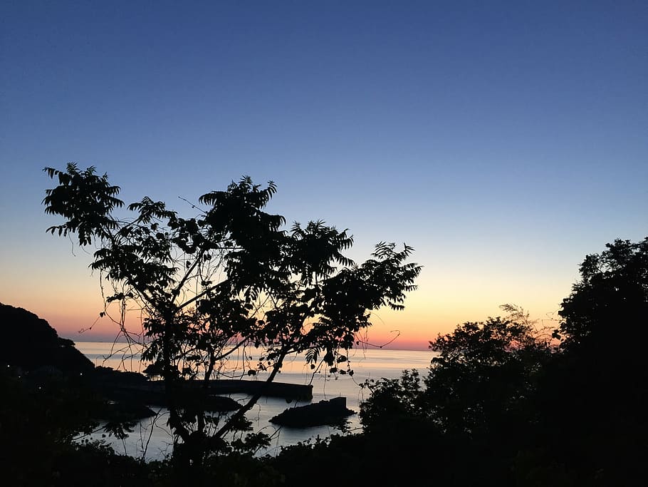 sea, landscape, evening, tree, plant, sky, silhouette, tranquility HD wallpaper