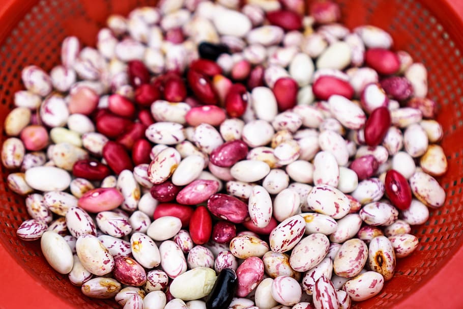 basket of assorted beans, red, magical, raw, ingredient, seed HD wallpaper