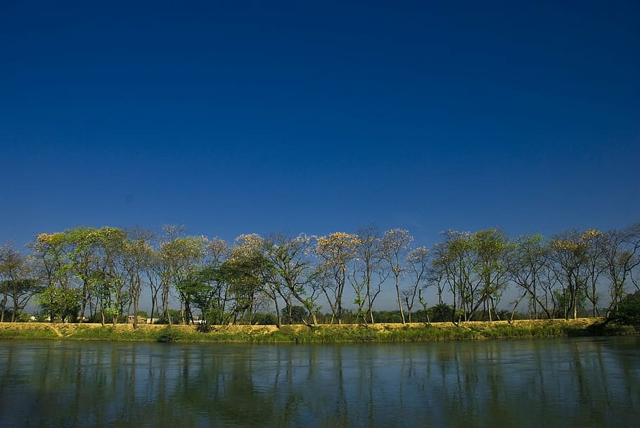 morning, reflection, sky, composition, trees, river, water HD wallpaper