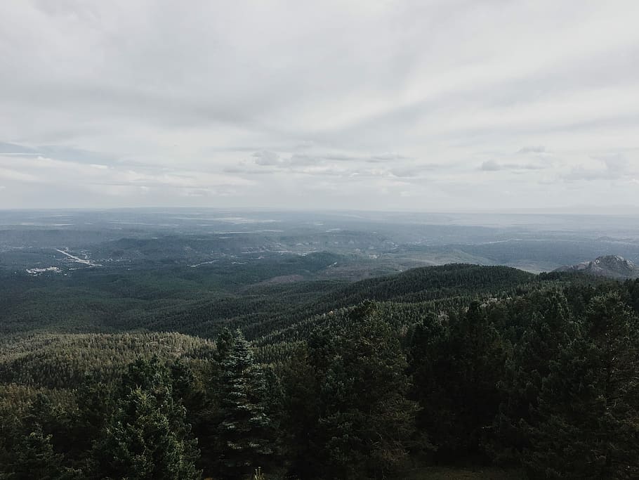 bird's eye view of forest mountain, aerial view of mountain and forest during day time HD wallpaper