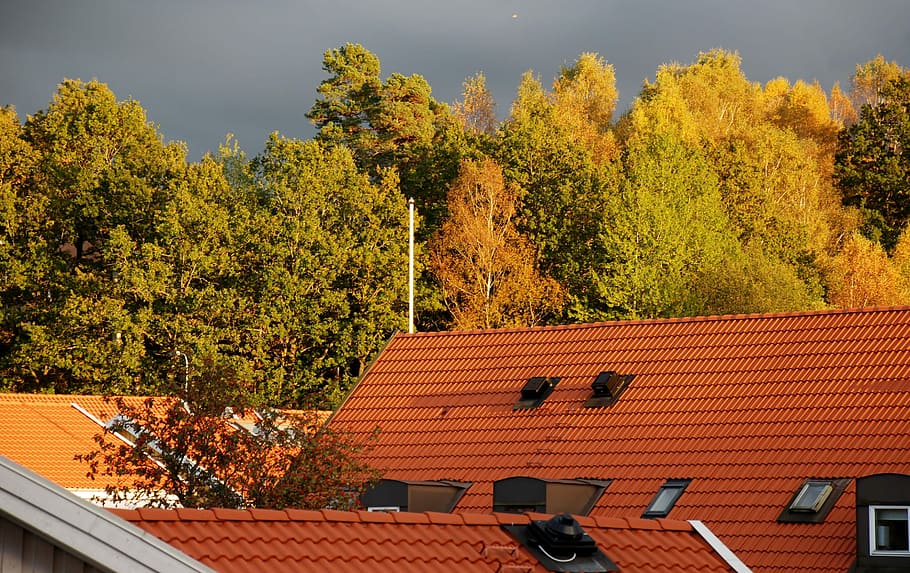 Rooftops, Himmel, Autumn, outdoors, day, tree, no people, nature HD wallpaper