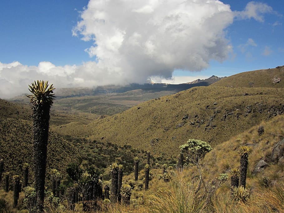Landscape, Cloud, Frailejon, Mountain, cloud - sky, nature HD wallpaper