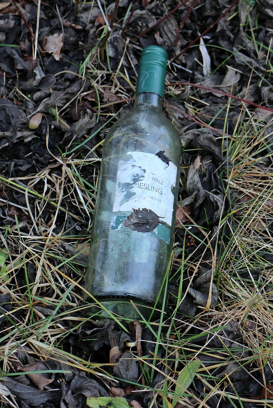 bottle, bottles, glass, garbage, wine, throw away society, on the side of the road HD wallpaper