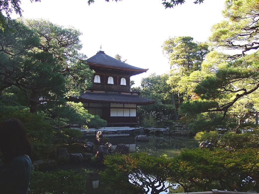 shrines, temples, japan, architecture, tree, built structure HD wallpaper