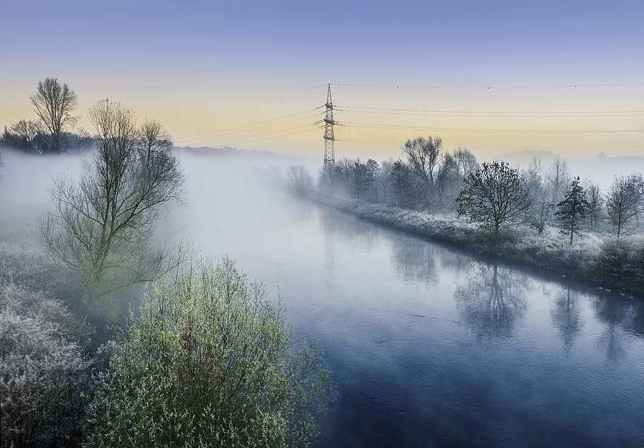 waters, idyll, mood, tree, plant, beauty in nature, tranquil scene HD wallpaper