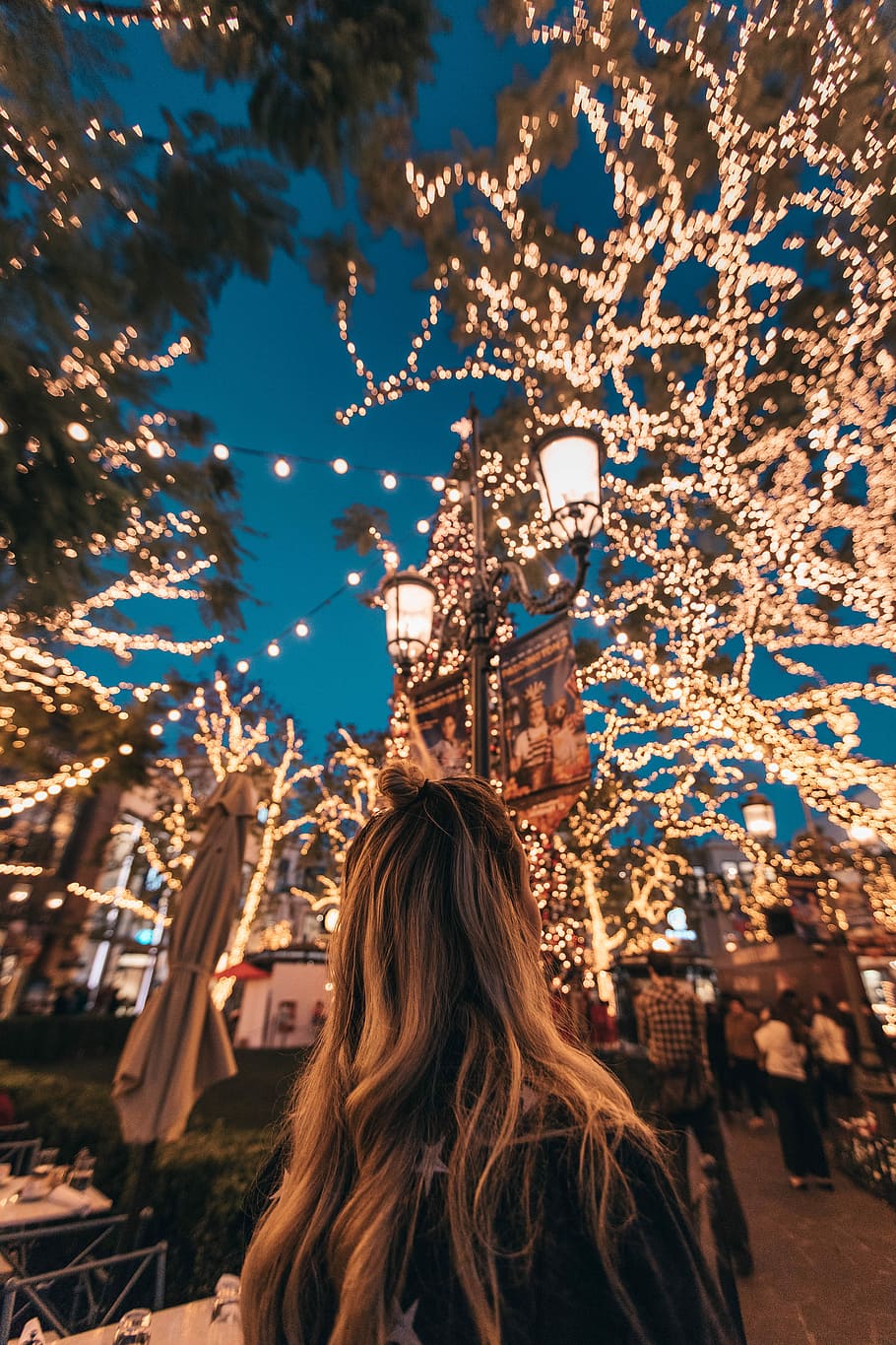 woman seeing string lights, woman standing on park, night, dark HD wallpaper