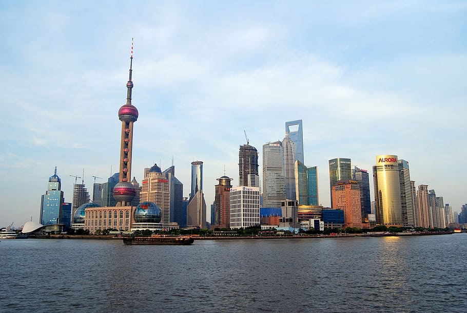 assorted buildings beside body of water, shanghai skyline, cityscape