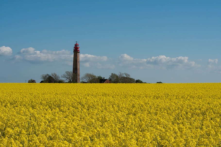 lighthouse, yellow, blue, sky, summer, europe, landscape, cloud HD wallpaper