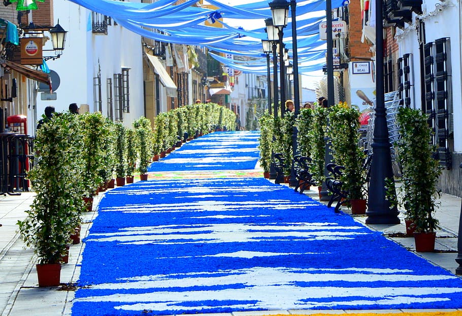 Corpus, Torrenueva, Procession, Flowers, soil, street, architecture HD wallpaper