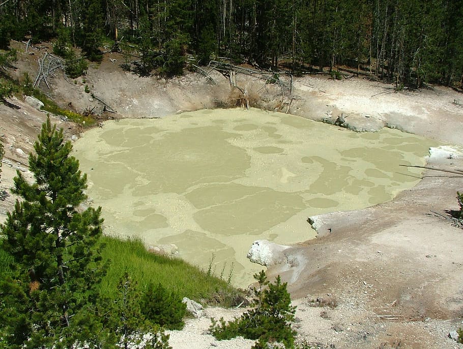 Sulphur Caldron, Mud Volcano area in Yellowstone National Park, Wyoming HD wallpaper