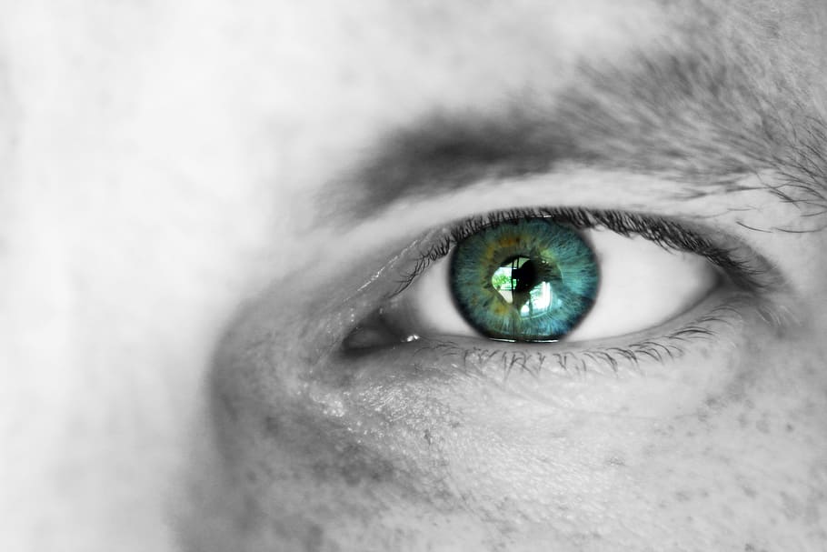 eye, eyebrow, face, man, skin, fashion, model, eyelashes, look HD wallpaper