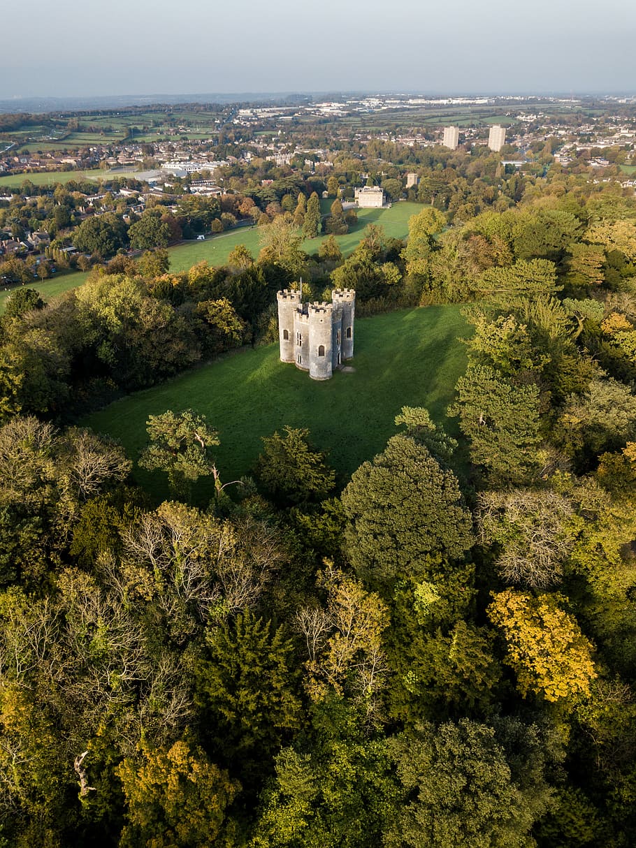 gray castle surrounded by trees, white concrete castle between forest HD wallpaper