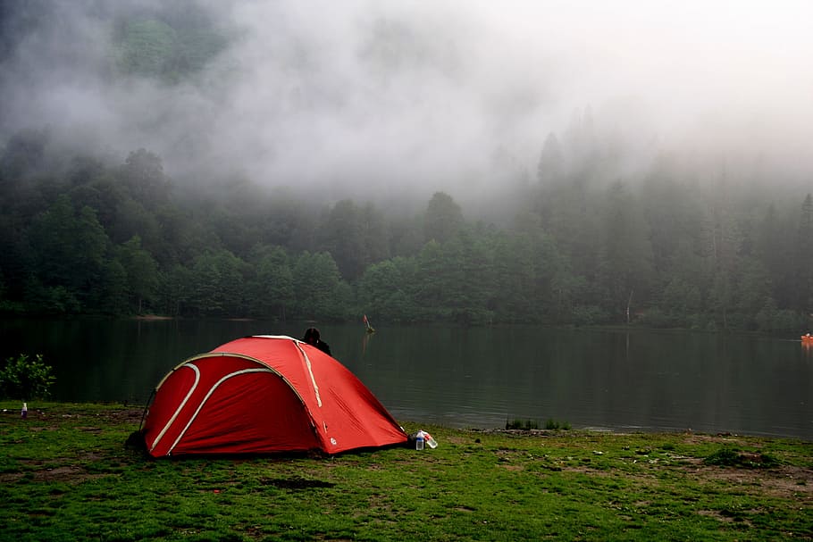 red dome tent placed near lake, artvin, turkey, nature, forest, HD wallpaper