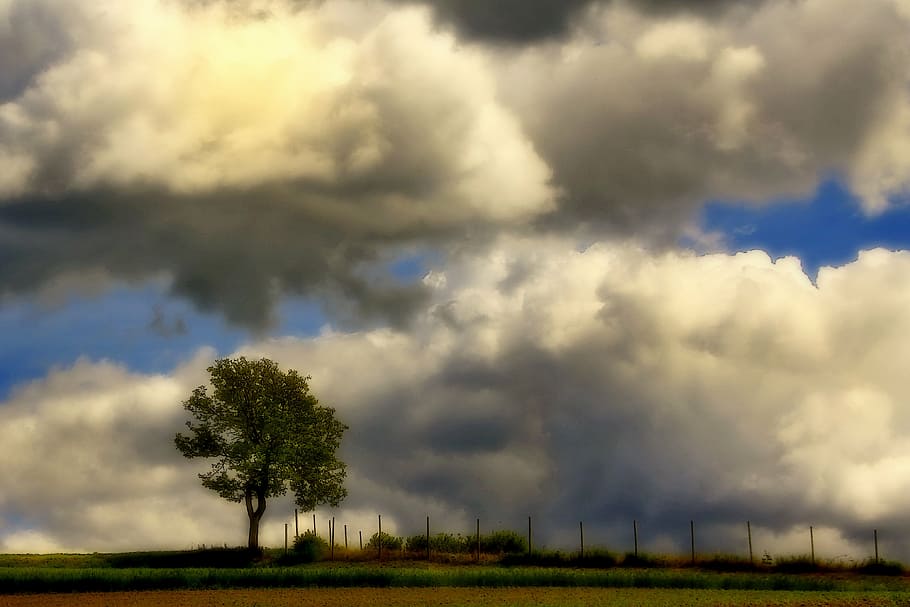 clouds, nature, landscape, sky, mood, tree, lonely, alone, cloud - sky HD wallpaper