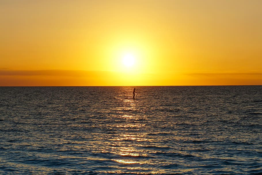 paddleboard, sunset, maui, sea, water, sky, horizon, beauty in nature HD wallpaper