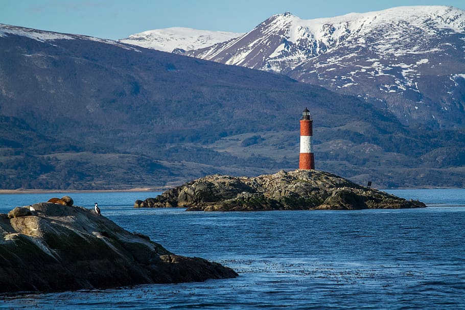 Farol Les Eclaireurs  - Ushuaia, red and white lighthouse on island, HD wallpaper