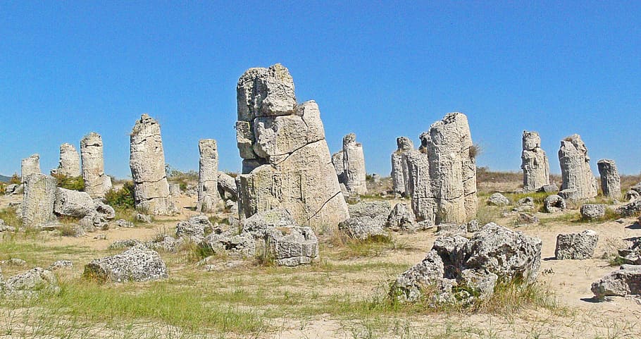 Stone, Forest, Stone Forest, fossil forest, stones, varna, bulgaria HD wallpaper