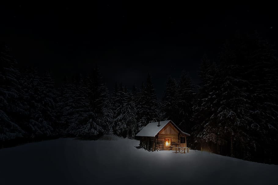 house near trees illustration, cabin, winter, snow, night, cold HD wallpaper