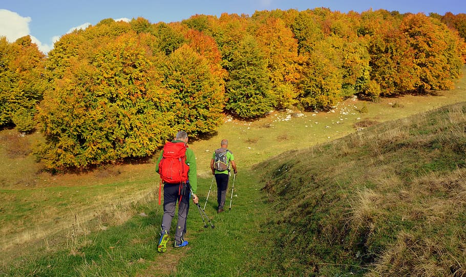 excursion, trail, forest, walking with sticks, mountain, the european path HD wallpaper