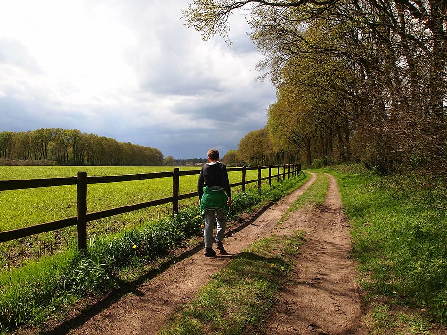 person standing near fence on pathway, hiking, boy, sandy path HD wallpaper