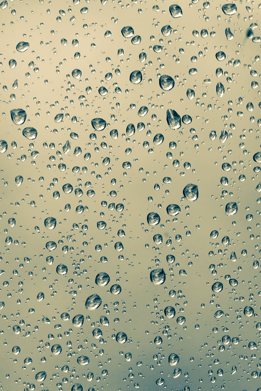close-up photography of water drops on glass, rain, drops of water