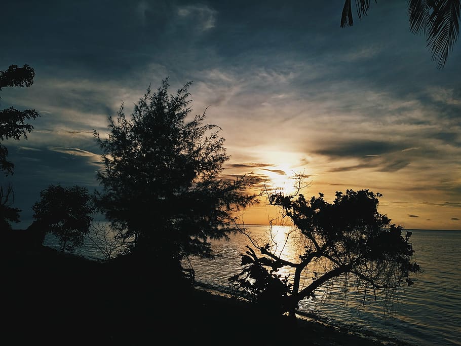 sun, sink, the tree, the sky, blue, indonesian, view, nature HD wallpaper