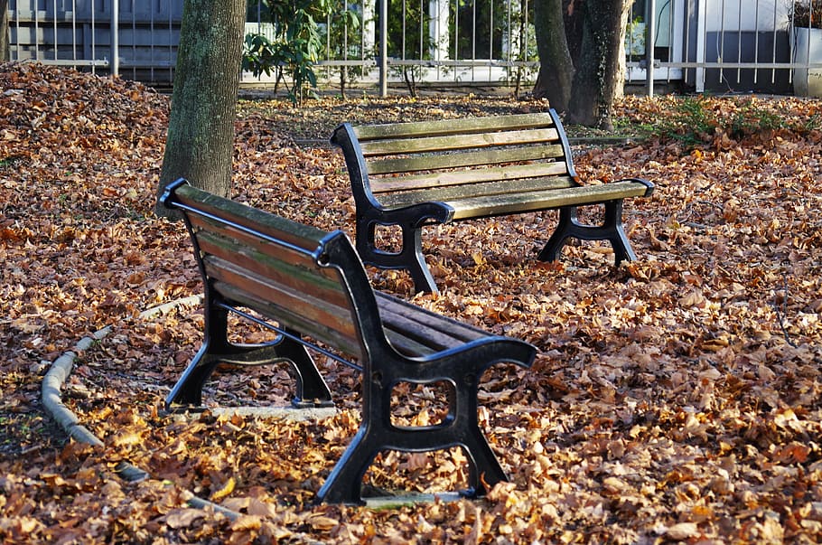 bench, park, autumn, seat, leaf, plant part, empty, absence HD wallpaper