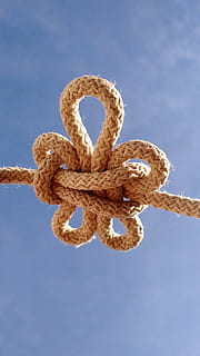 focus photography of pretzel rope, flower, lis, knot, sky, soguín HD wallpaper