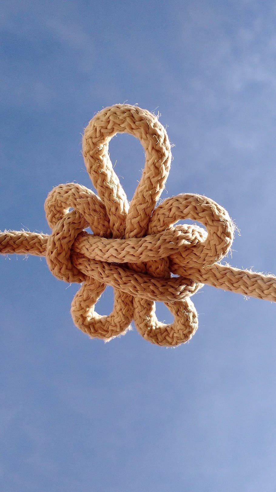 focus photography of pretzel rope, flower, lis, knot, sky, soguín HD wallpaper