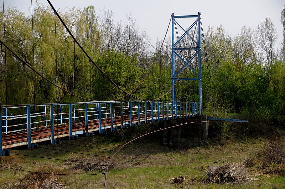 bridge, ruin, old, tree, plant, nature, day, no people, land HD wallpaper