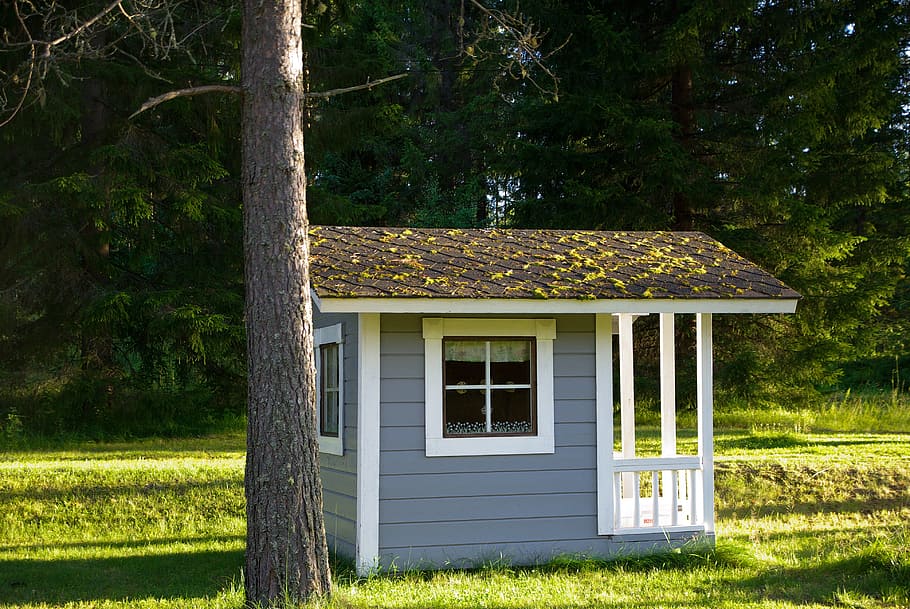 finland, chalet, forest, tree, plant, built structure, architecture HD wallpaper