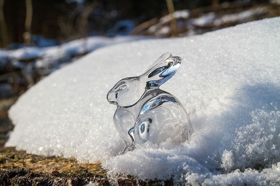 clear rabbit glass decor on snow, easter, hare, easter bunny HD wallpaper