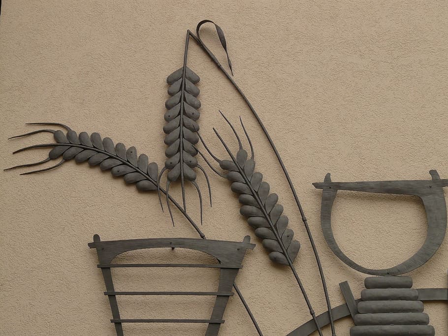 grain, ear, cereals, wheat, mural, metal, image, bauer, equipment HD wallpaper
