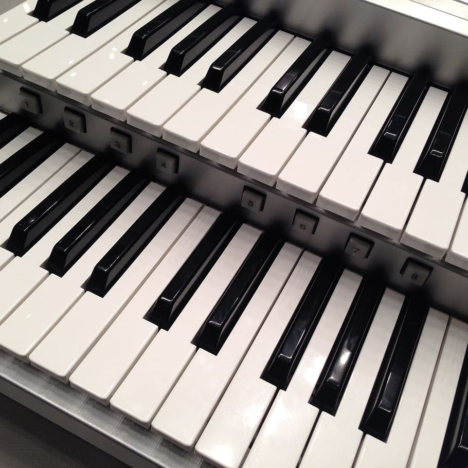 Musical Instruments, Keyboard, electronic organ, piano, piano Key, HD wallpaper